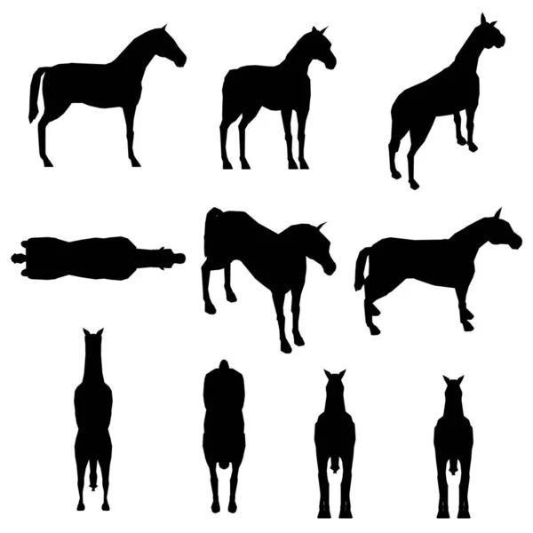 Набор с лошадиными силуэтами в разных положениях изолирован на белом фоне. Векторная иллюстрация — стоковый вектор