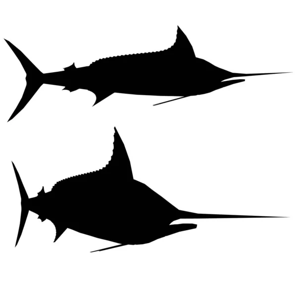 Silhouette di un pesce dal naso appuntito isolato su fondo bianco. Vista laterale. Illustrazione vettoriale — Vettoriale Stock