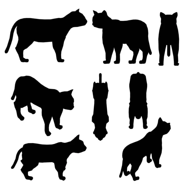 Set with silhouettes of a cat in different positions isolated on a white background. Vector illustration — Stock Vector