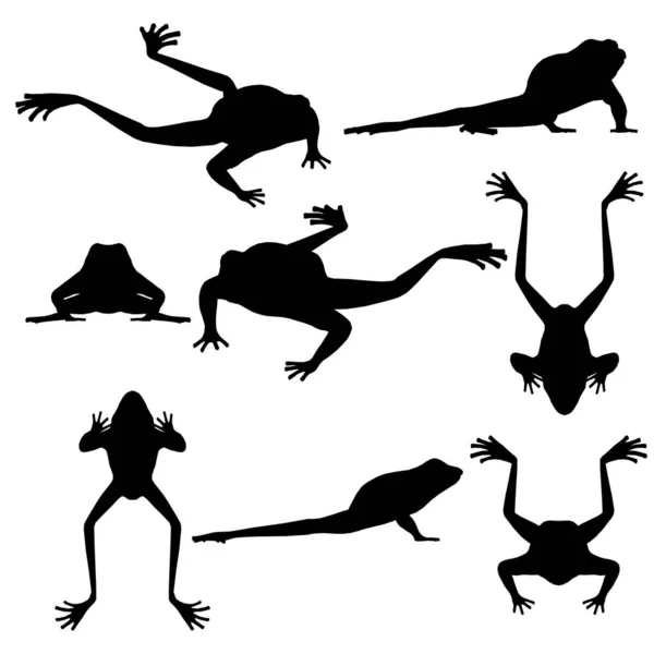 Ensemble avec des silhouettes de grenouilles dans différentes positions isolées sur un fond blanc. Illustration vectorielle — Image vectorielle