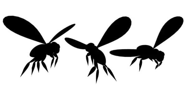 Set met silhouetten van bijen in verschillende posities geïsoleerd op witte achtergrond. Vectorillustratie — Stockvector