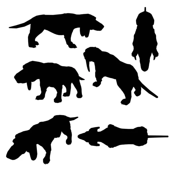 Set with silhouettes of a dog with long ears in different positions isolated on a white background. Vector illustration — Stock Vector