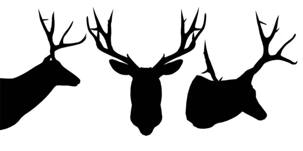 Ensemble avec des silhouettes d'une tête de cerf dans différentes positions isolées sur un fond blanc. Illustration vectorielle — Image vectorielle