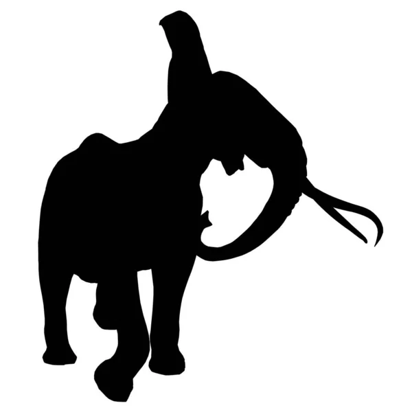 Silhouette di un elefante che cammina isolato su uno sfondo bianco. Illustrazione vettoriale — Vettoriale Stock