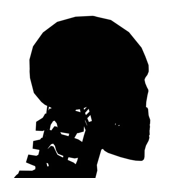 Silueta de un cráneo humano con una columna vertebral aislada sobre un fondo blanco. Vista lateral. Ilustración vectorial — Vector de stock