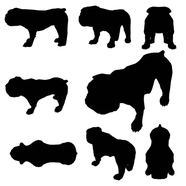 Conjunto con siluetas de un perro de un bulldog en diferentes posiciones aisladas sobre un fondo blanco. Ilustración vectorial — Archivo Imágenes Vectoriales