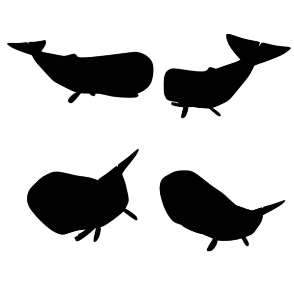 Conjunto com silhuetas de uma baleia em diferentes posições isoladas em um fundo branco. Ilustração vetorial — Vetor de Stock