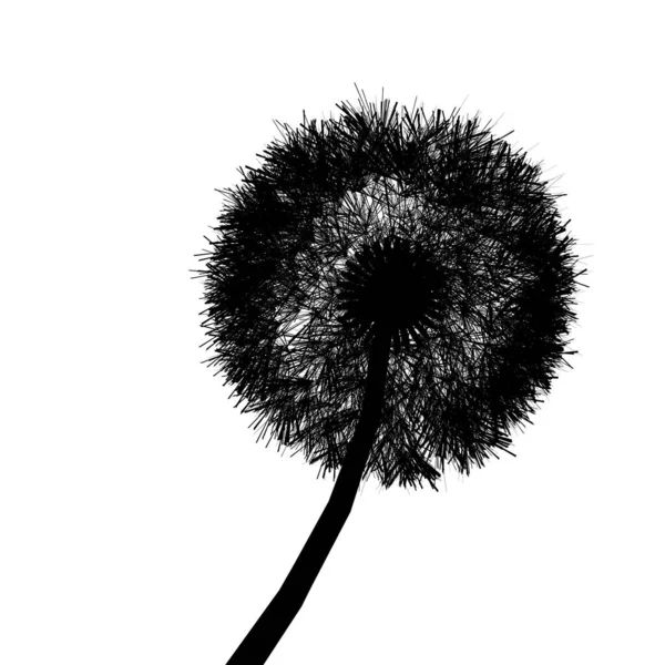 Dandelion silhouette isolated on white background. Vector illustration — 스톡 벡터