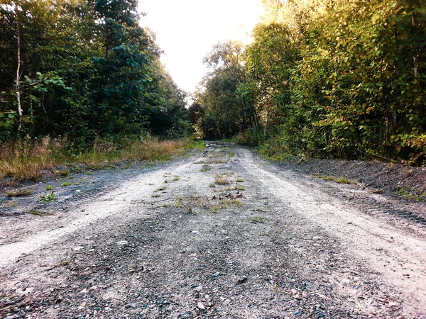 Smutsig väg i skogen. Landsväg utanför det upptrampade spåret — Stockfoto
