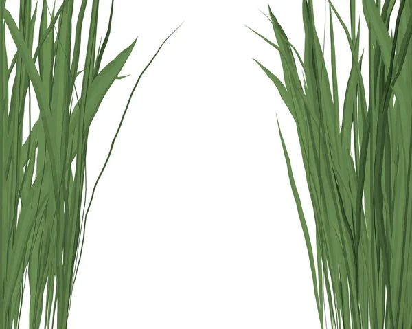 Tło z zieloną trawą po bokach odizolowane na białym tle. Ilustracja wektora — Wektor stockowy
