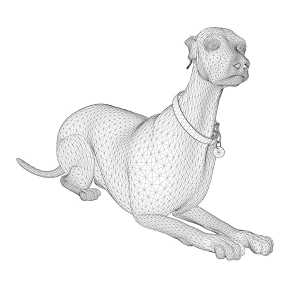 Perro labrador Wireframe de líneas negras aisladas sobre fondo blanco. 3D. Ilustración vectorial — Vector de stock