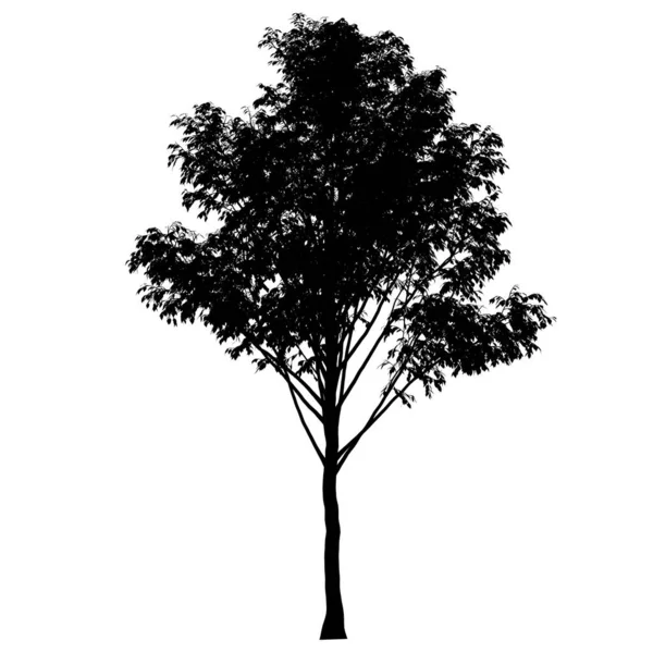 Szczegółowa sylwetka drzewa odizolowana na białym tle. Ilustracja wektora — Wektor stockowy