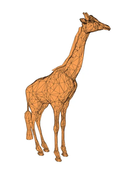 Zürafa — Stok Vektör