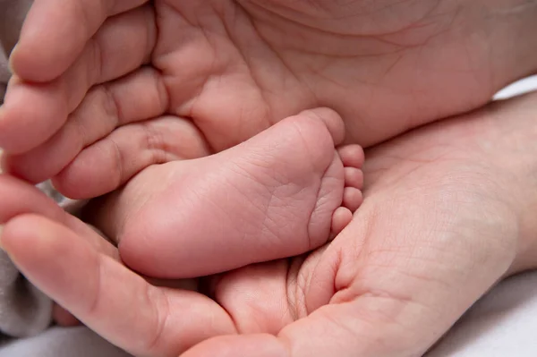 Pasgeboren baby voeten in moeders handpalmen. Frank beroep. Symbool van bescherming en liefde. — Stockfoto