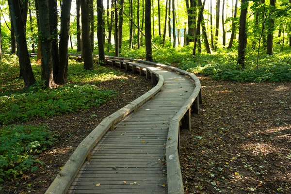 Sentier Écologique Dans Parc Urbain Européen — Photo