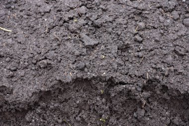 Kara toprak dokusu, humus, verimli toprak. Arkaplan.