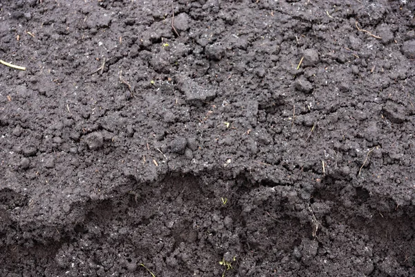 Kara toprak dokusu, humus, verimli toprak. Arkaplan.