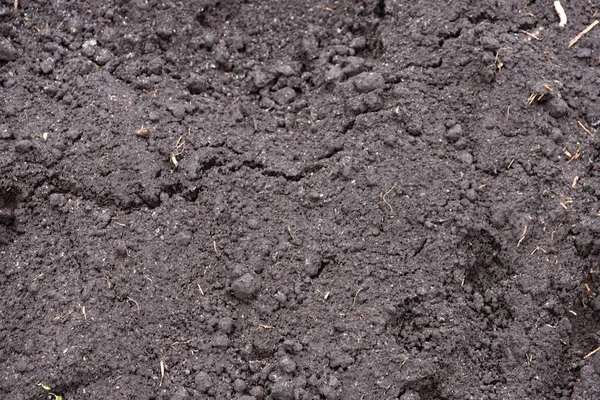 Black Earth Texture Humus Fertile Soil Background — Stock Photo, Image