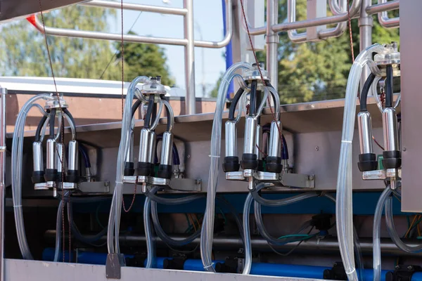 Mobile, transportable milking machine for milking cows and receiving milk in the field.