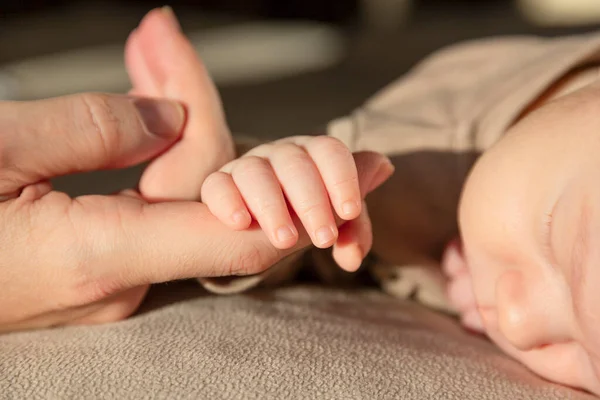 Egy Újszülött Anya Kezének Ujjaival — Stock Fotó