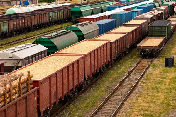 Yakıtlı tanklar, yük taşıyan vagonlar bir tren istasyonunda. Lojistik ve ulaşım kavramı.