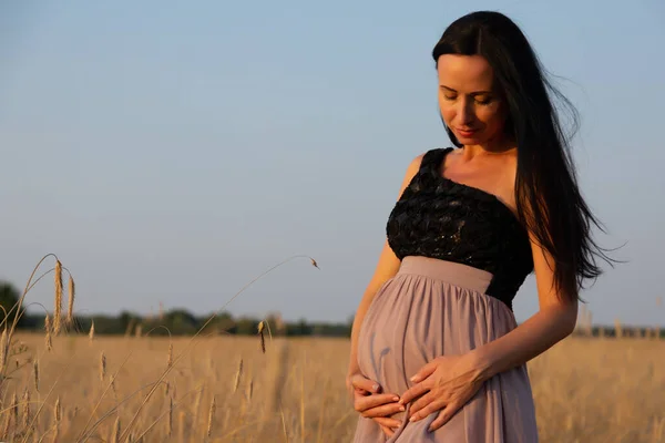 Güzel Genç Hamile Bir Kız Gün Batımında Buğday Tarlasında Yürüyor — Stok fotoğraf