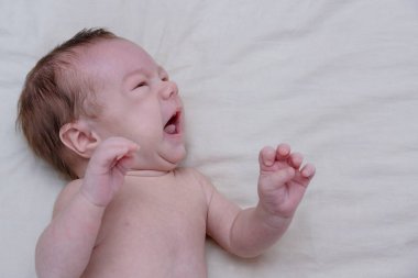 Yeni doğmuş bir çocuk ağlıyor. Yeni doğan bebek yorgun ve aç. Çocuklar ağlıyorlar. Bebekler çığlık atar..