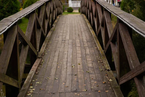 Pont Bois Sur Rivière Étang Dans Parc Européen — Photo