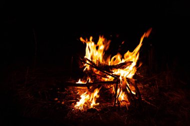 Odunla yanan ateş. Yemek pişirme ve ısıtma kavramı.