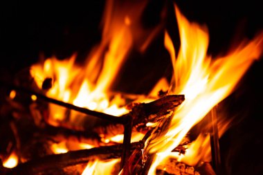 Odunla yanan ateş. Yemek pişirme ve ısıtma kavramı.