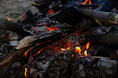 Odunla yanan ateş. Yemek pişirme ve ısıtma kavramı.