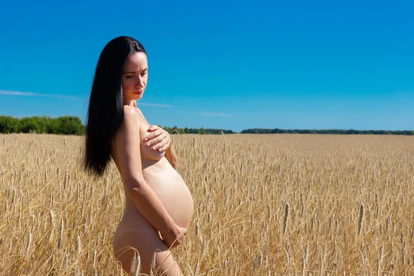 Krásná Nahá Těhotná Žena Pšeničném Poli Koncept Těhotenství Plodnosti — Stock fotografie
