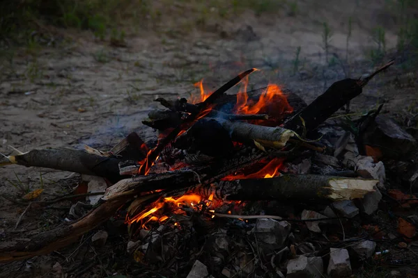 Brennendes Feuer Mit Holz Koch Und Heizkonzept — Stockfoto