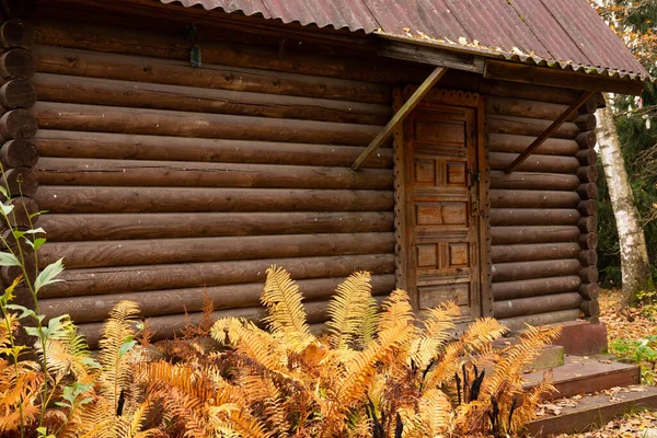 Wooden One Storey House Forest Autumn Season — Stock Photo, Image