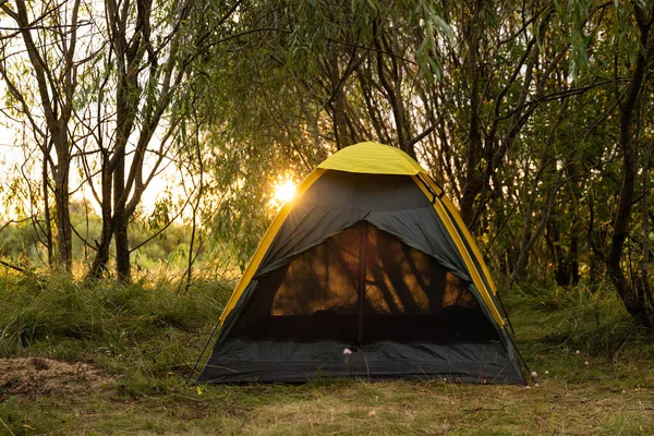 Tenda Turística Acampamento Florestal Entre Árvores Pôr Sol — Fotografia de Stock
