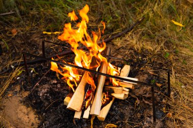 Şenlik ateşi, ateş, duman doğanın arka planında.