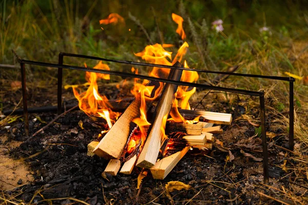 Burning Fire Wood Cooking Heating Concept — Stock Photo, Image