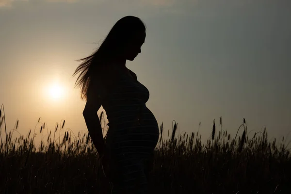 Sziluett Egy Terhes Hátterében Naplemente Mező Érlelés Búza Anyaság Termékenység — Stock Fotó