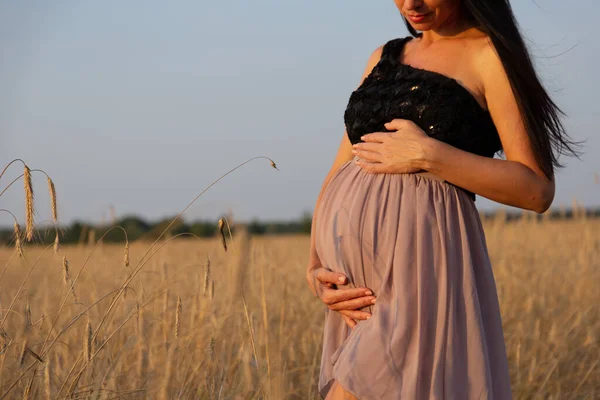 Těhotná Žena Krásných Šatech Pozadí Pole Dozrávající Pšenicí Koncept Mateřství — Stock fotografie