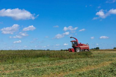 Kırsal bir alanda kırmızı hasatçı. Güneşli bir yaz gününde tahıl biçme konsepti.