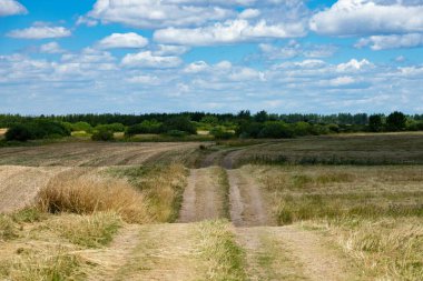 Kırsal yol biçilmiş, biçilmiş, buğday tarlası.
