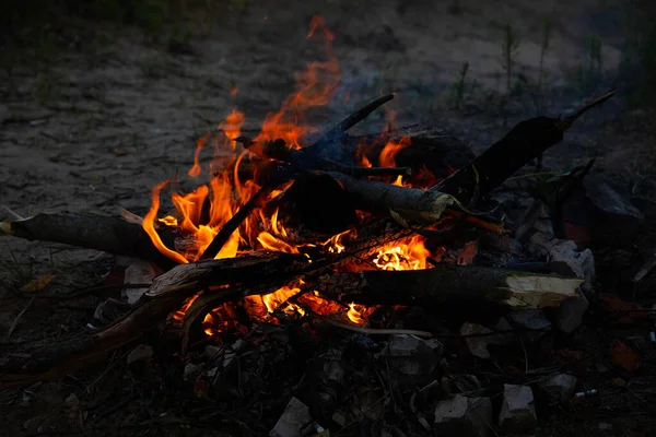 Feu Joie Feu Fumée Sur Fond Nature — Photo