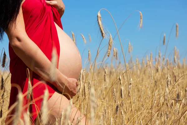 Egy Terhes Piros Ruhában Egy Mezőn Érlelődő Búzával Anyaság Termékenység — Stock Fotó