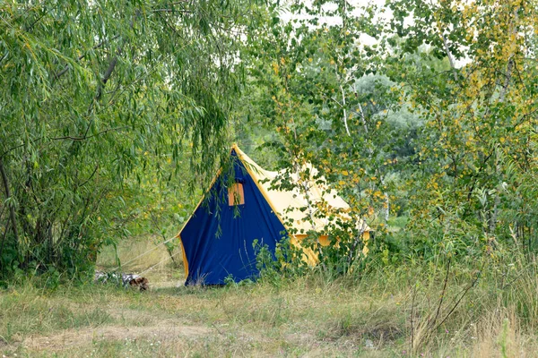 Touristenzelt Camp Zwischen Bäumen Und Büschen Nachmittag — Stockfoto