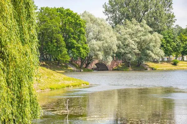 Parc Vert Ville Avec Arbres Fleurs Allées — Photo