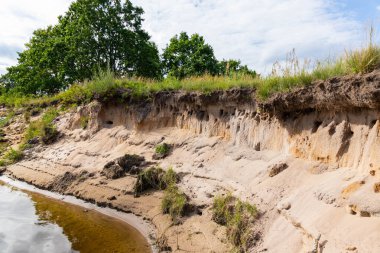 Sand Martin için yuva yeri, ya da Bank Riparia Riparia - yuva kolonisi yutar.