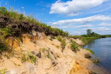 Nehrin dik kıyısı, eğimli ağaçlar ve suya yakın pürüzler. Ağaç kökleriyle bir orman nehrinin dik kumlu kıyısı. Nehrin dik kıyısındaki kapanlar ve devrilmiş ağaçlar.