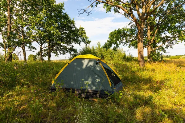 Touristenzelt Einem Waldcamp Grünes Zelt Einem Naturpark Urlaubskonzept — Stockfoto