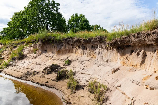 Sand Martin için yuva yeri, ya da Bank Riparia Riparia - yuva kolonisi yutar.