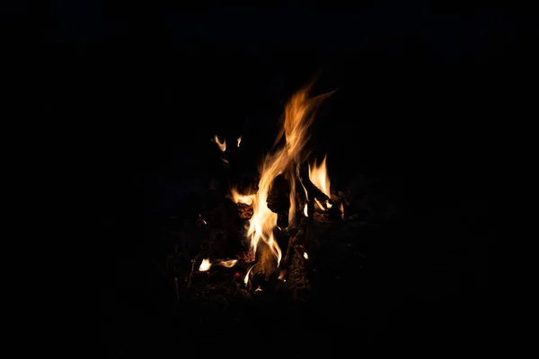 Костер Огонь Дым Фоне Природы — стоковое фото